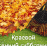 Уважаемые жители Амурского района! Приглашаем принять участие в субботнике! - Амурский район