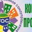 Конкурс проектов ТОС: прием документов продлится до 14 февраля - Амурский район