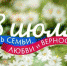 День семьи, любви и верности отметят завтра в Хабаровском крае - Амурский район