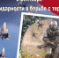 3 сентября: День солидарности в борьбе с терроризмом - Амурский район