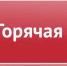 Управление образования, молодежной политики и спорта организует "горячую линию" по вопросам поддержки семей лиц, призванных на военную службу по мобилизации - Амурский район