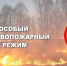 Напоминаем: на территории Амурского муниципального района установлен особый противопожарный режим - Амурский район