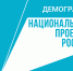 О реализации национального проекта «Демография» в Амурском муниципальном районе по итогам 2024 года - Амурский район
