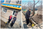 Скачать картинку