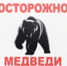 bear2508.jpg - Город Амурск