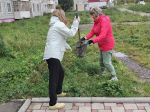 Скачать картинку