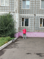 Скачать картинку
