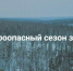 Закрыт пожароопасный сезон на землях лесного фонда, расположенных на территориях Падалинского, Болоньского, Литовского лесничеств - Амурский район