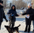 В городе состоялся плановый профилактический рейд по контролю за содержанием домашних животных - Город Амурск