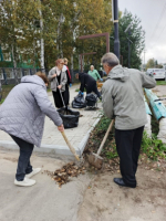 В осеннем субботнике приняли участие более 6 тысяч жителей Амурского муниципального района