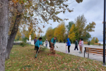 В осеннем субботнике приняли участие более 6 тысяч жителей Амурского муниципального района